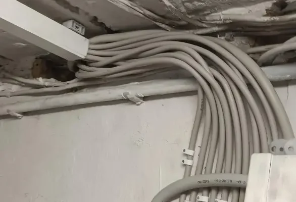 IMG_20250606_161115 IMG_20250606_161115